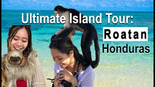 ULTIMATE ROATAN ISLAND TOUR ADVENTURE IN HONDURAS See monkeys sloths go through Little Venice [upl. by Ivers553]