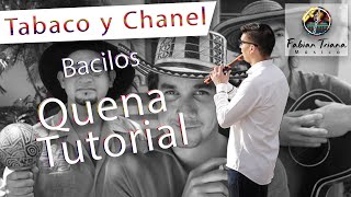 Tabaco y Chanel  Bacilos  Tutorial Quena [upl. by Kin]