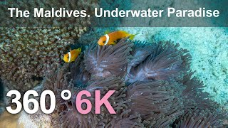 The Maldives Underwater Paradise Relaxing 360 video in 6K [upl. by Acsirp789]