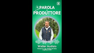 Parola al produttore Walter Audisio [upl. by Derte795]