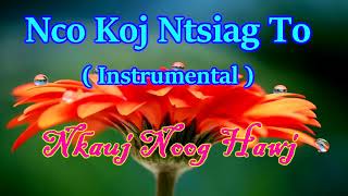 Tseen nco koj ntsiag tos Instrumental [upl. by Aitnis]