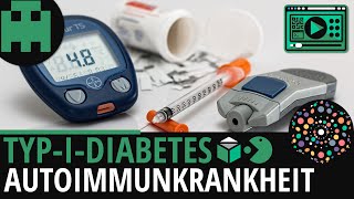 TypIDiabetes Autoimmunkrankheit│Biologie Lernvideo Learning Level Up [upl. by Ilatfan]