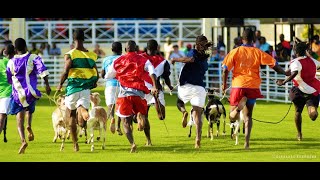 Buccoo Goat Race Festival [upl. by Gnof]