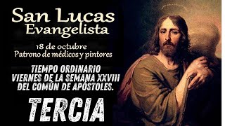 TERCIA Viernes 18 de Octubre de 2024 San Lucas Fiesta [upl. by Jotham]