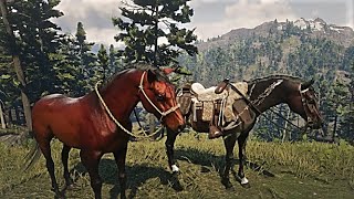 Red Dead Redemption 2 Red Chestnut Arabian Horse Easy Capture  Owanjila Lake Location [upl. by Zsazsa]