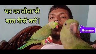 Parrot mummy  Parrot mummy sound  Parrot mummy voice  Parrot mummy papa takatakparrot [upl. by Nihs]