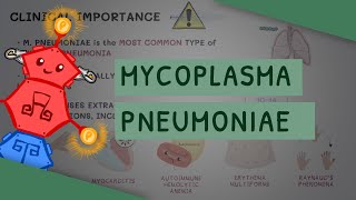 Mycoplasma Pneumoniae [upl. by Angelique]