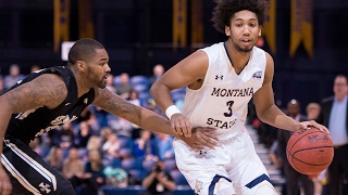 Montana States Tyler Hall  BigSkyMBB Player of the Week [upl. by Akcinehs728]