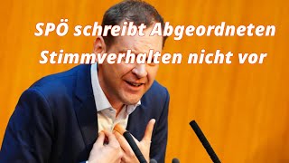 SPÖ schreibt Abgeordneten Stimmverhalten nicht vor [upl. by Sew]