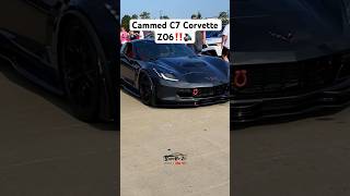 Cammed C7 Corvette Z06 Chopping Through Dayton Cars amp Coffee [upl. by Heyes]