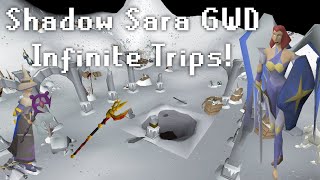 OSRS Shadow Sara GWD  Infinite Trips no EldritchSweets  Chill 5m GPH  Animal Whisperer CA [upl. by Neelyam]