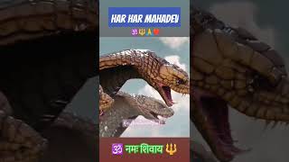 Har Har Mahadev🙏🕉️ bhakti devotional reels mahadev youtubeshorts shortfeed youtubeshorts [upl. by Onidranreb]