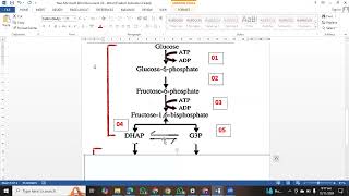 Glycolysis  Cellular Respiration  EMP Pathway  KIPS [upl. by Anitsyrk]