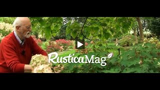 Réussir lhortensia  RusticaMag 31 saison 02 épisode 16 [upl. by Ahcorb]