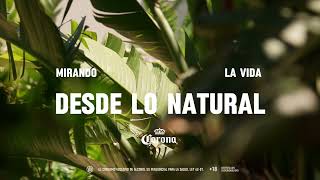 Sumérgete y disfruta de la vida natural con Cerveza Corona🌴🍻 [upl. by Strong817]