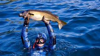 Spearfishing Scotland’s most remote island  TRAILER [upl. by Owiat]