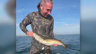 SIB fishing Anglesey Noth Wales Bass  Pollock and Wrasse [upl. by Aip27]