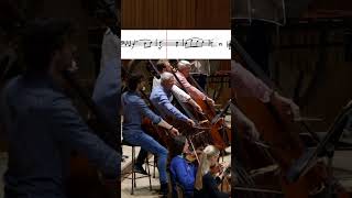 Beethoven Symphony No 3 Movement II [upl. by Maltz]