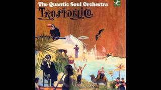 The Quantic Soul Orchestra  Panama City [upl. by Yrailih]