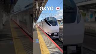 japao shinkansen tokyo shorts [upl. by Etz]