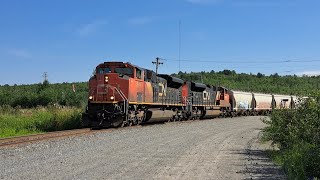 LOUD EMD CN SD70M2 DUO LEADS LOCAL FREIGHT TRAIN 598 WITH NEW BUT WEIRD HORN AND SALUTE [upl. by Arukas288]