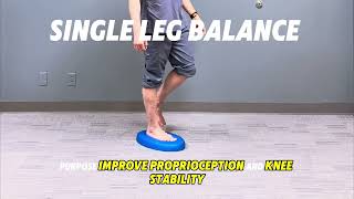 Single Leg Balance [upl. by Sylvia]