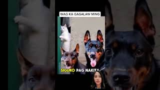 Kaya mo yan ming🤣fun funny funnyvideo [upl. by Addiel398]