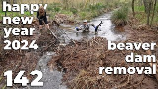 Happy New Year 2024  Manual Beaver Dam Removal No142 [upl. by Pavkovic]