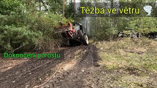 Těžba dřeva vítr Zetor 7245 Agama aga 2 Stihl Ms 462 Jpforest8882 [upl. by Enyalaj571]