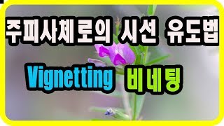 포토샵 초급 주피사체에게 시선을 유도하는 방법  비네팅 Vignetting [upl. by Carmon]