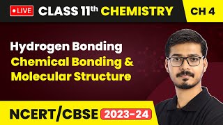 Hydrogen Bonding  Chemical Bonding amp Molecular Structure  Class 11 Chemistry Chapter 4  LIVE [upl. by Vivyan397]