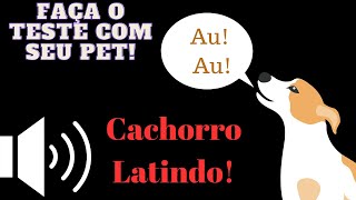 Cachorros latindo top 7 sons  Teste com o seu pet [upl. by Oinigih]