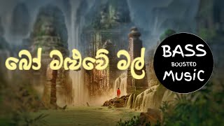 Bo Maluwe Mal  බෝ මළුවේ මල්  BaSS BooSted [upl. by Spratt965]