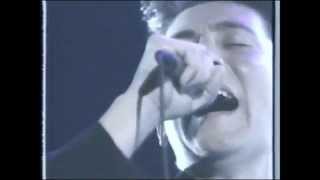 kd lang performs quot CRYING quot [upl. by Anos626]