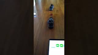 Coding with Sphero Mini [upl. by Cahilly]