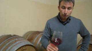 Barbera dAlba 2009 Sandri [upl. by Yatnuhs]