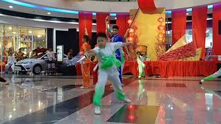 2018 CNY Wushu Martial arts performance [upl. by Innep]