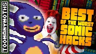 Best of the Worst Sonic the Hedgehog ROM Hacks [upl. by Badr]