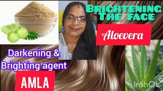 haircare Aloevera brightening the face  AMLA darkening amp brightening Agent6 [upl. by Ztnahc821]