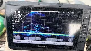 Livescope Showing Crappies On Structure Garmin Fishing LVS34 [upl. by Scotti]