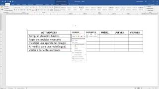 Cómo hacer un cronograma de actividades en Word [upl. by Lavud612]
