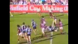 1988 Rd 10 Manly v Cronulla [upl. by Anelec]