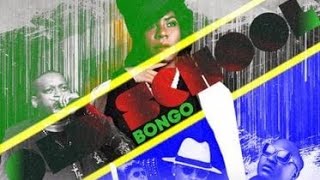 BONGO OLD SCHOOL MIX DJSEA FEVERITBOY KE [upl. by Delanos]