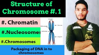 Structure of nucleosome DNA packaging Structure and types of chromosomes [upl. by Thant207]