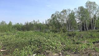 Water Front Property For Sale in TracadieSheila New Brunswick Canada [upl. by Pattani]