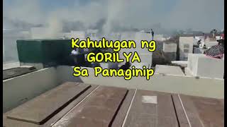 KAHULUGAN NG GORILYA SA PANAGINIP [upl. by Kallick]