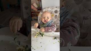 Baby Led Weaning with Spinach Poached Egg and Avocado 🍃 🥑🍳 [upl. by Wivinia620]