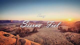 Siervo Fiel  Hector Perez lyric video [upl. by Darce755]