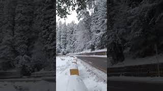 Murree today snowfall update  Snowfall Murree  snowfall murree snowfall snow stormMurree 2101 [upl. by Yennor]