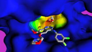 Drug Resistance [upl. by Raye]